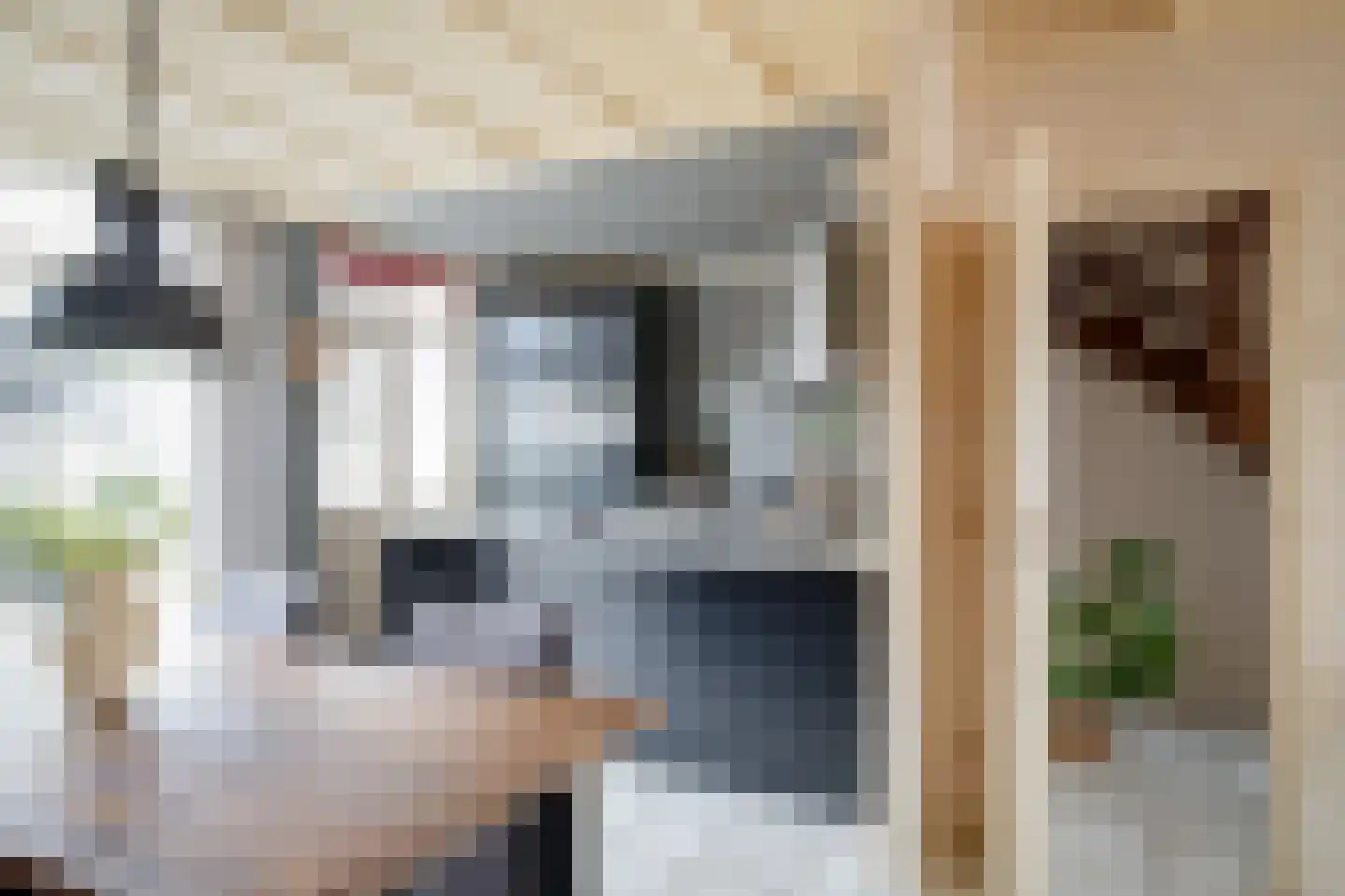 Holtinkstraat 27 Losser thumbnail 14