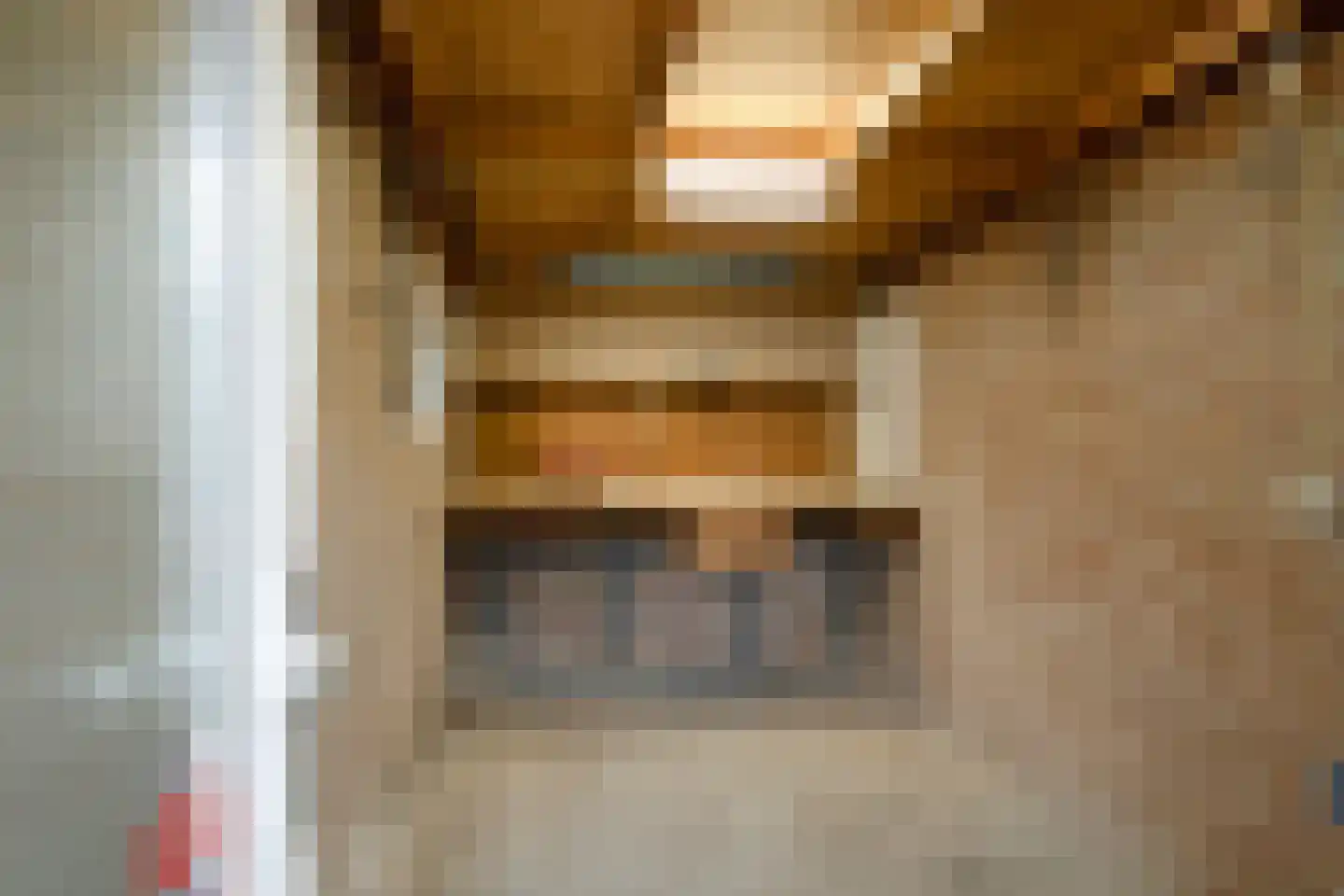 Holtinkstraat 27 Losser thumbnail 29