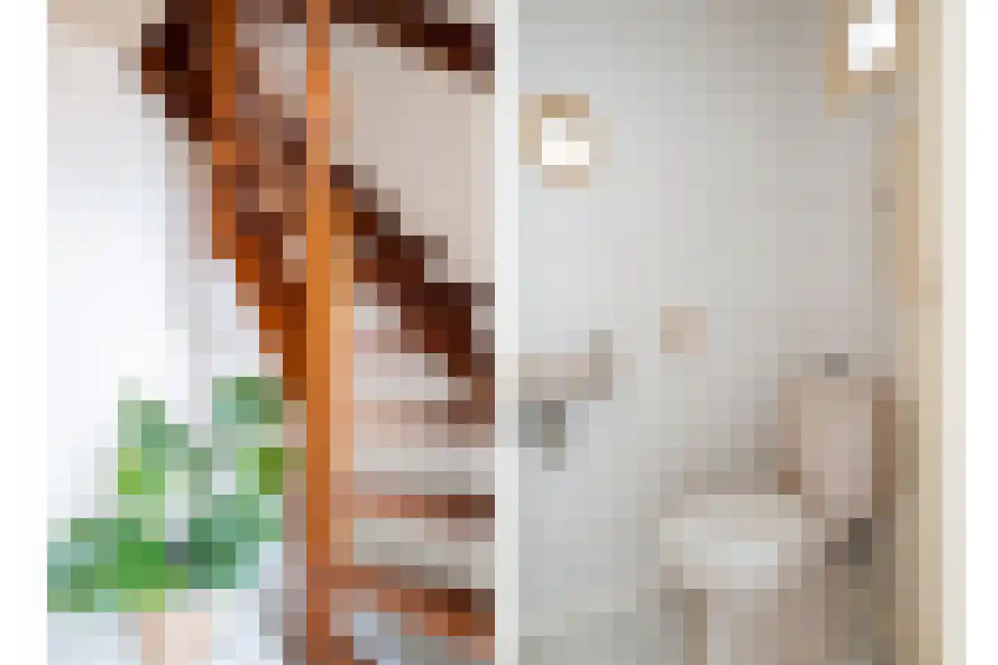 Holtinkstraat 27 Losser thumbnail 7