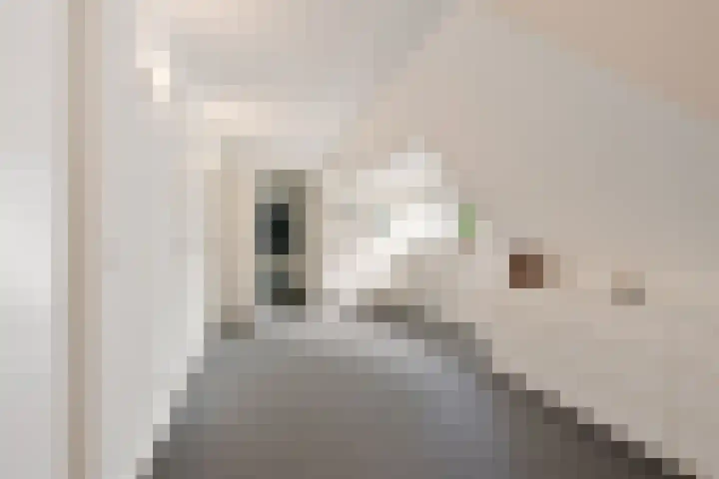 Holtkampen 1 Vries thumbnail 19