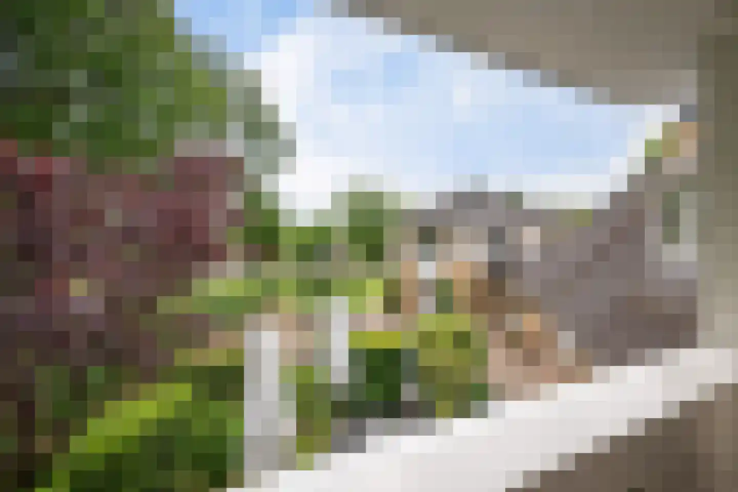 Holtkampen 1 Vries thumbnail 21
