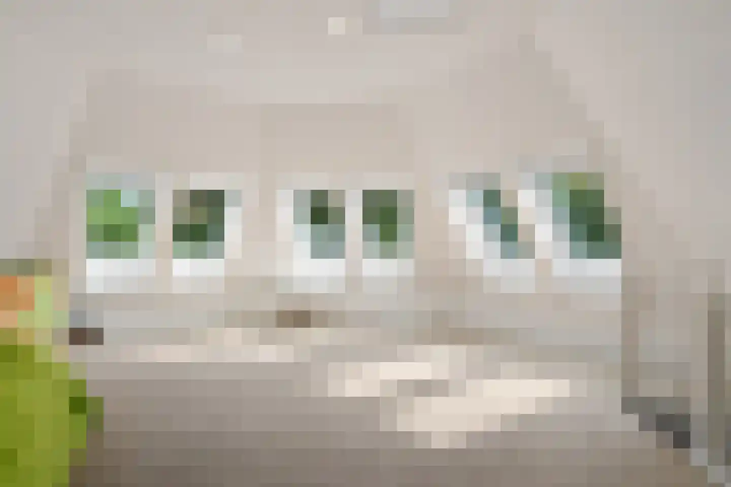 Holtkampen 1 Vries thumbnail 25