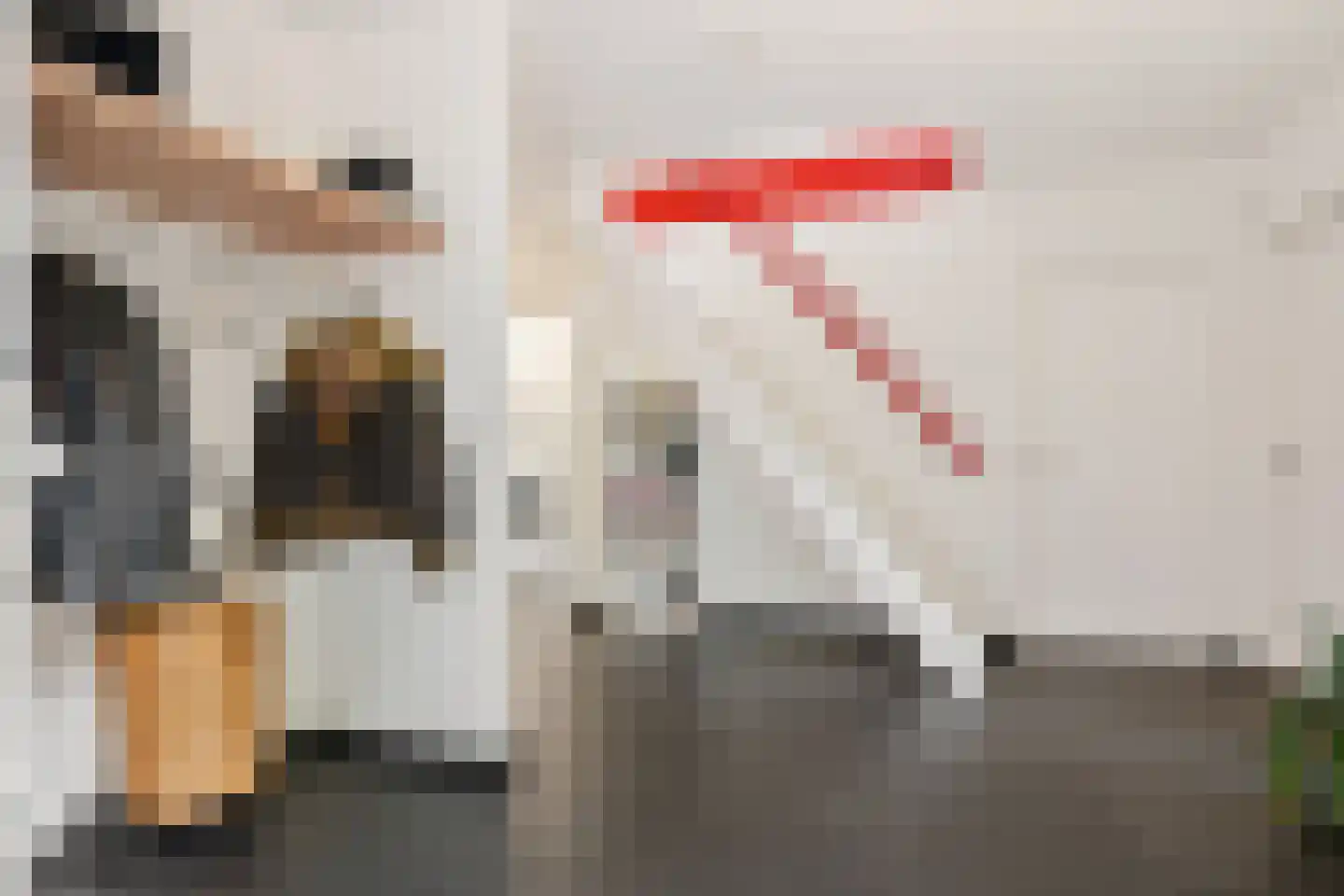 Holtkampen 1 Vries thumbnail 31