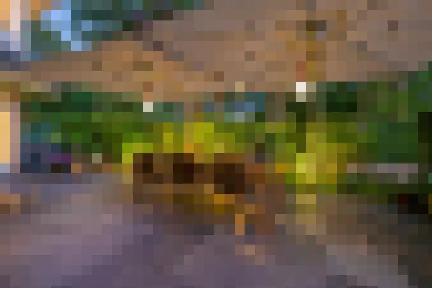 Holtkampen 1 Vries thumbnail 48