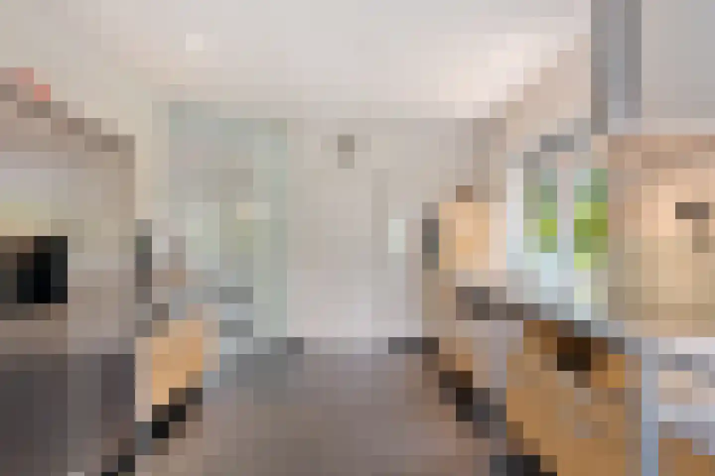 Holtkampen 1 Vries thumbnail 8