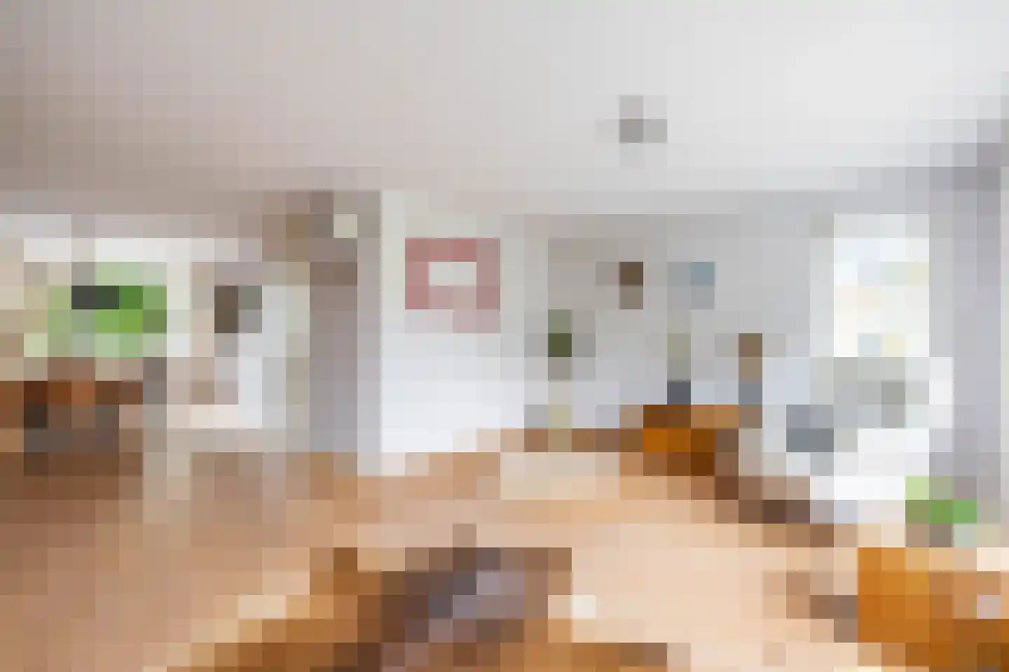Holtkampen 5 Vries thumbnail 17