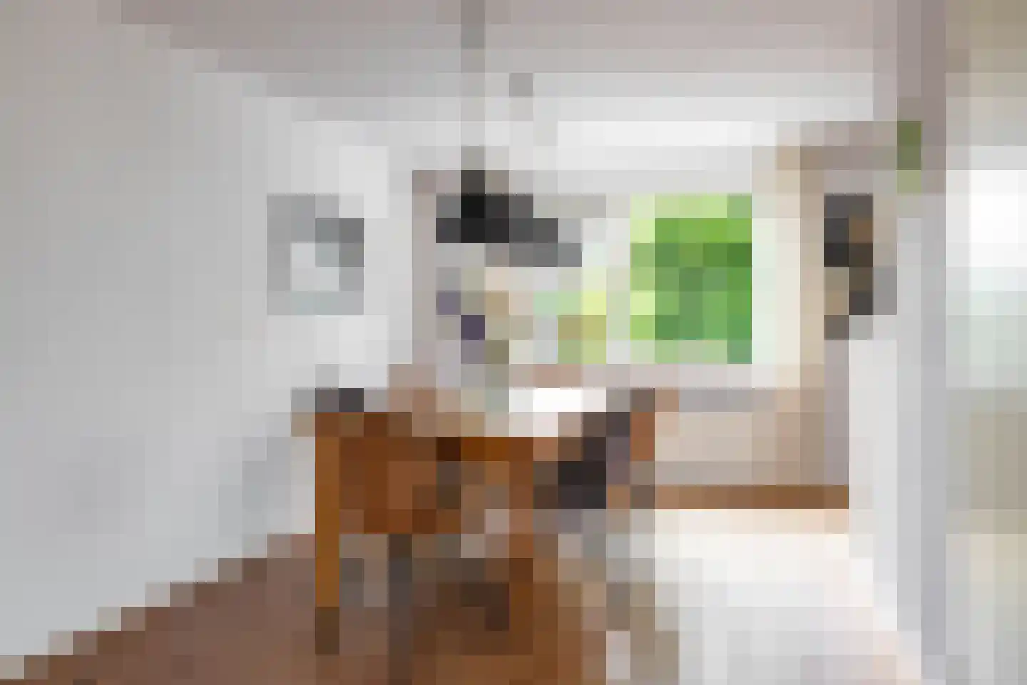 Holtkampen 5 Vries thumbnail 19