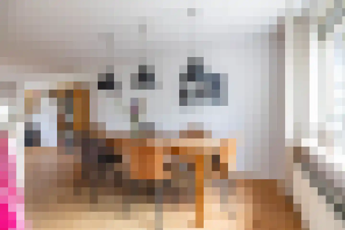 Holtkampen 5 Vries thumbnail 20