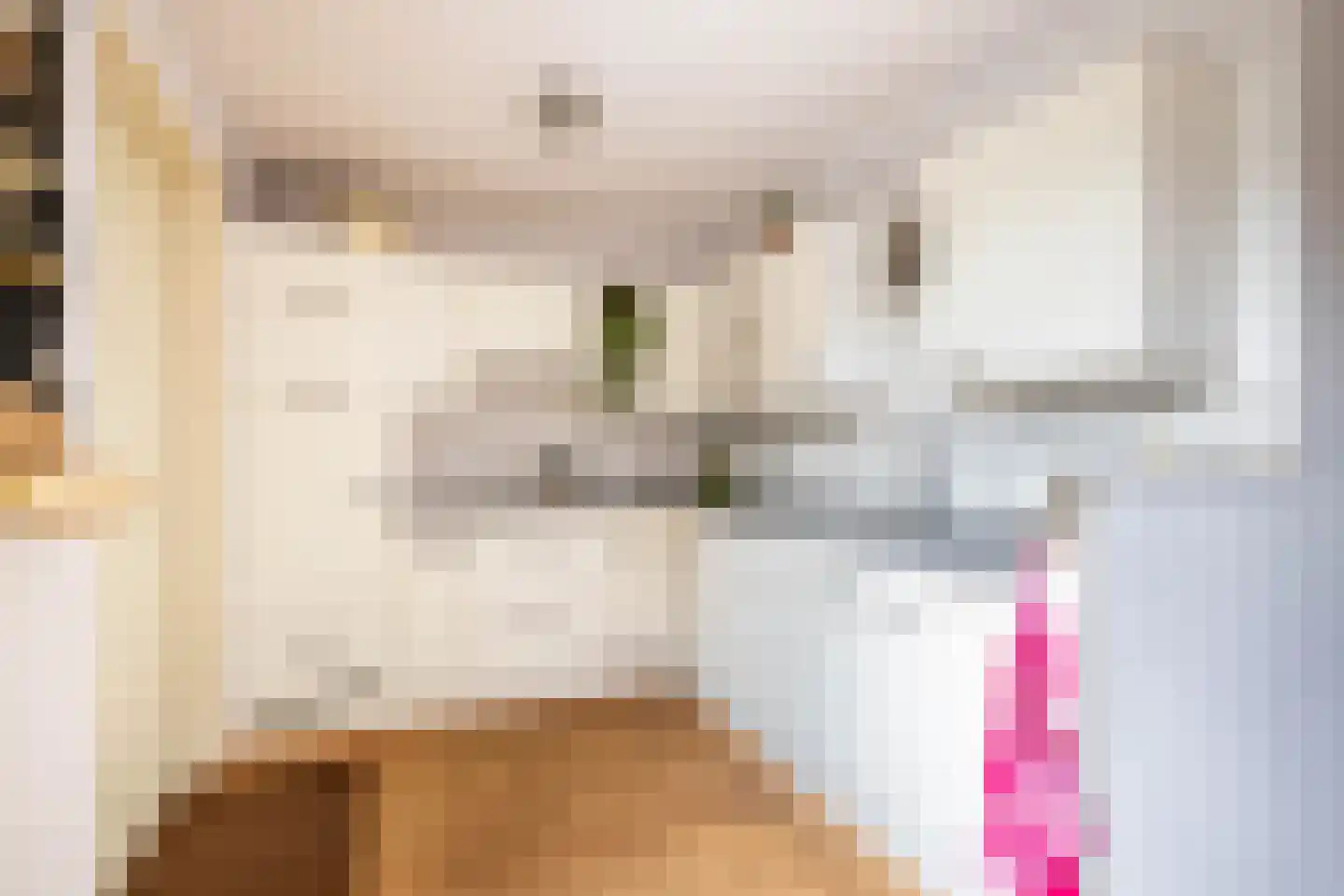 Holtkampen 5 Vries thumbnail 22