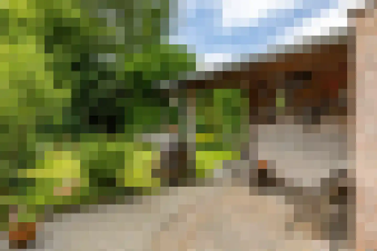 Holtkampen 5 Vries thumbnail 4