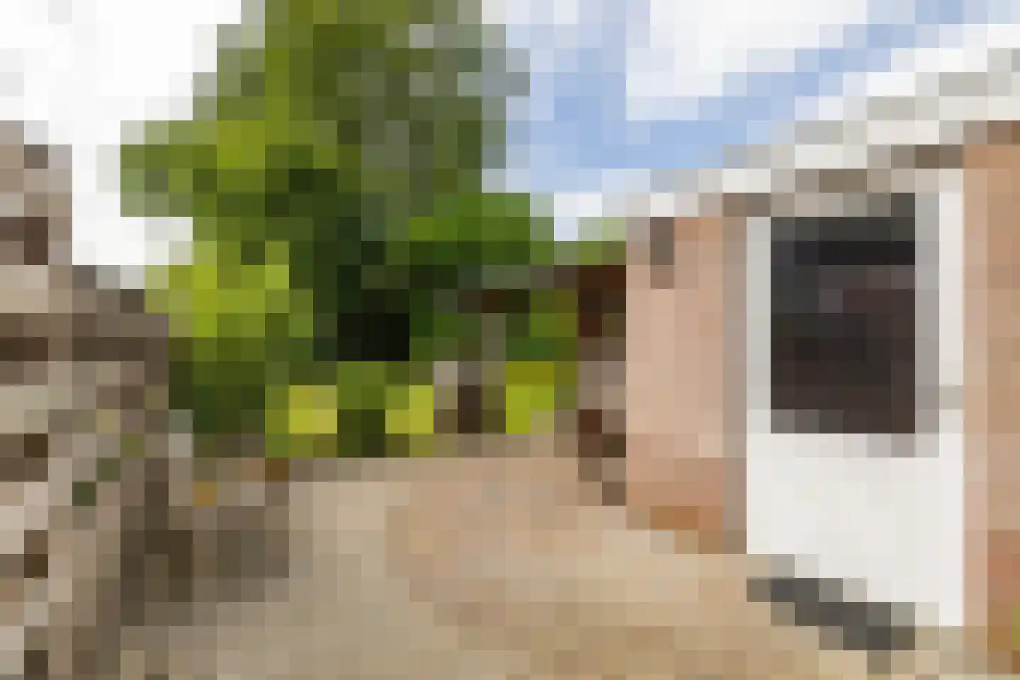 Holtkampen 5 Vries thumbnail 43