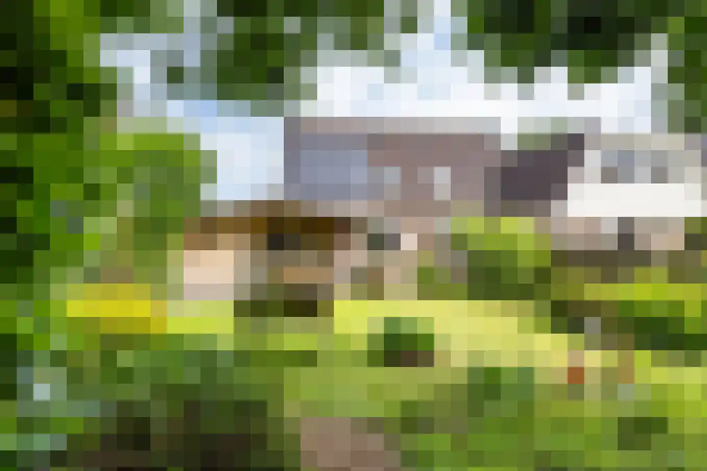 Holtkampen 5 Vries thumbnail 44