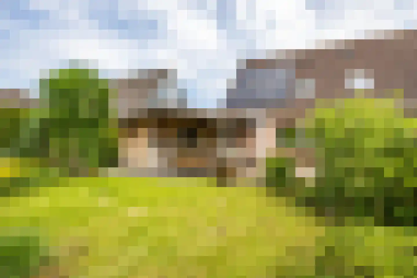 Holtkampen 5 Vries thumbnail 45