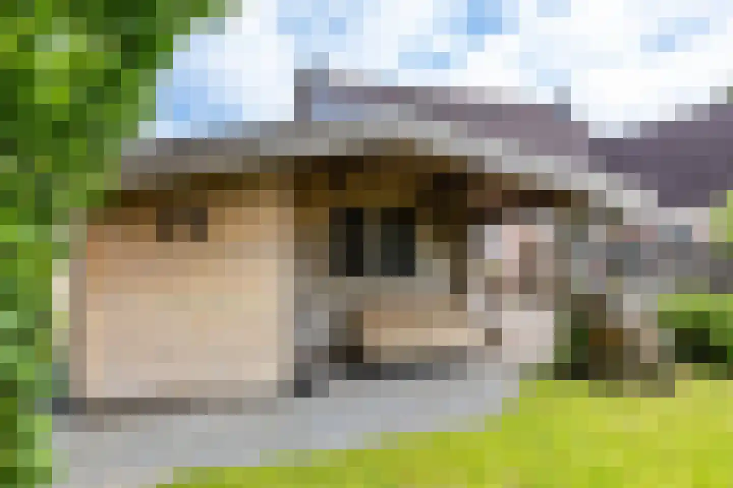 Holtkampen 5 Vries thumbnail 46