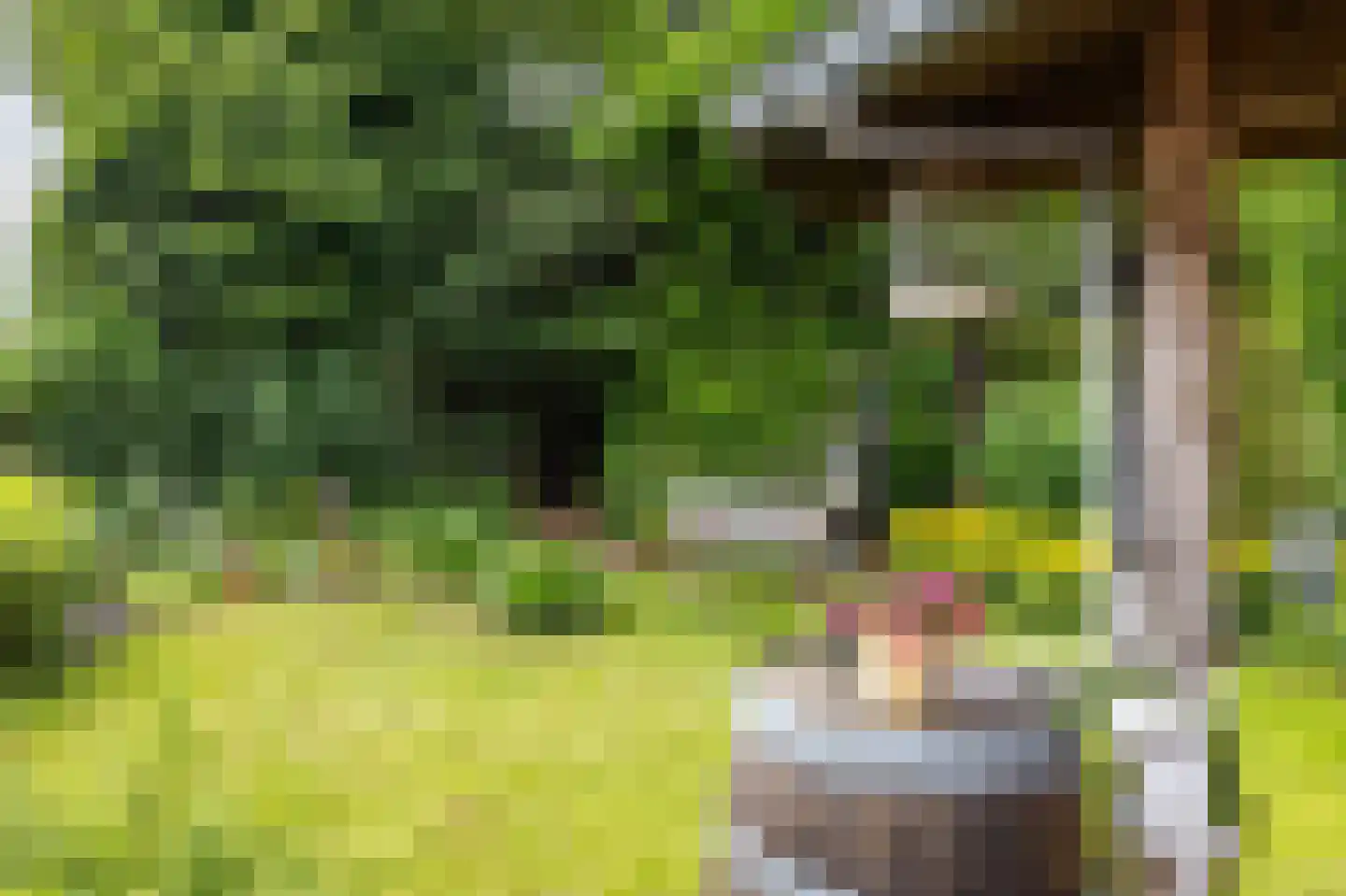 Holtkampen 5 Vries thumbnail 49