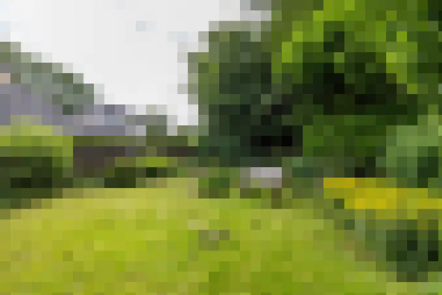 Holtkampen 5 Vries thumbnail 50