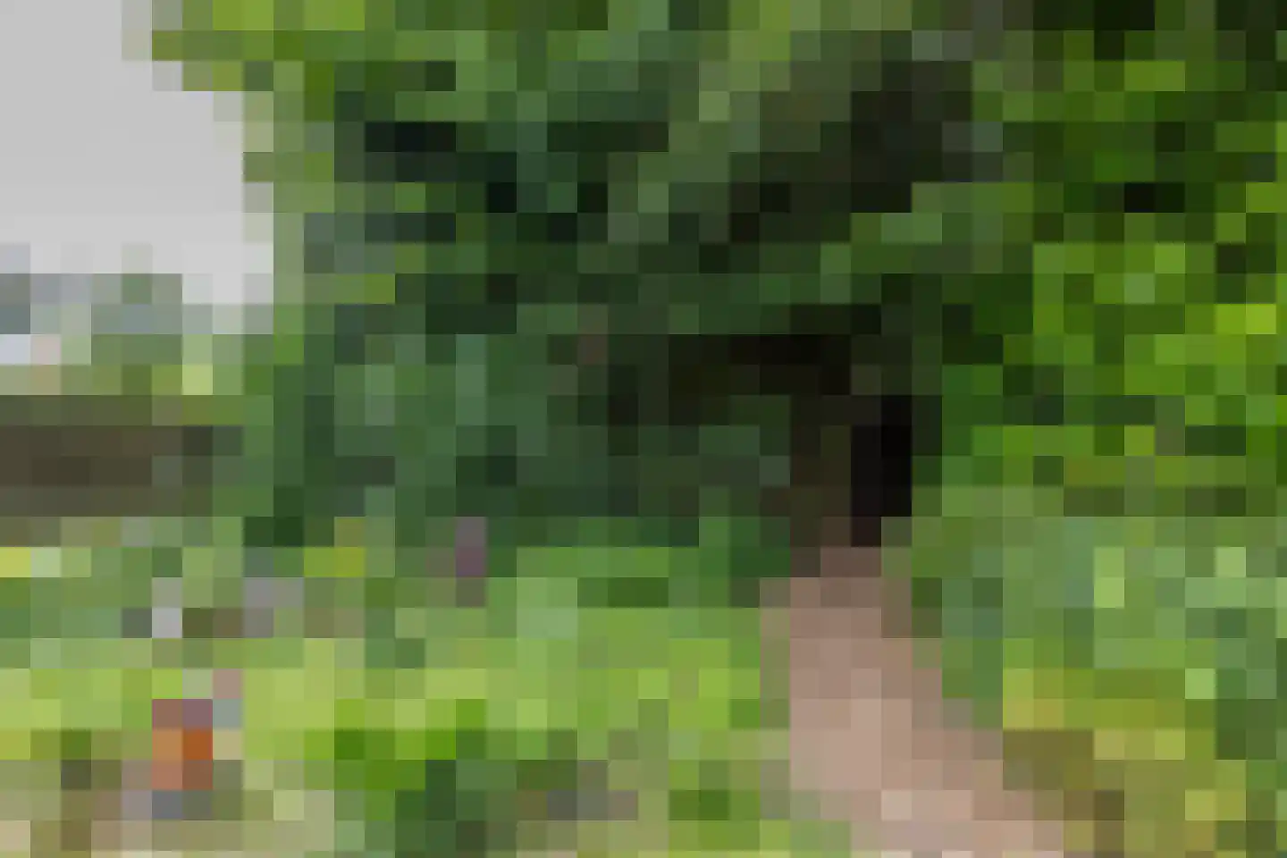Holtkampen 5 Vries thumbnail 51