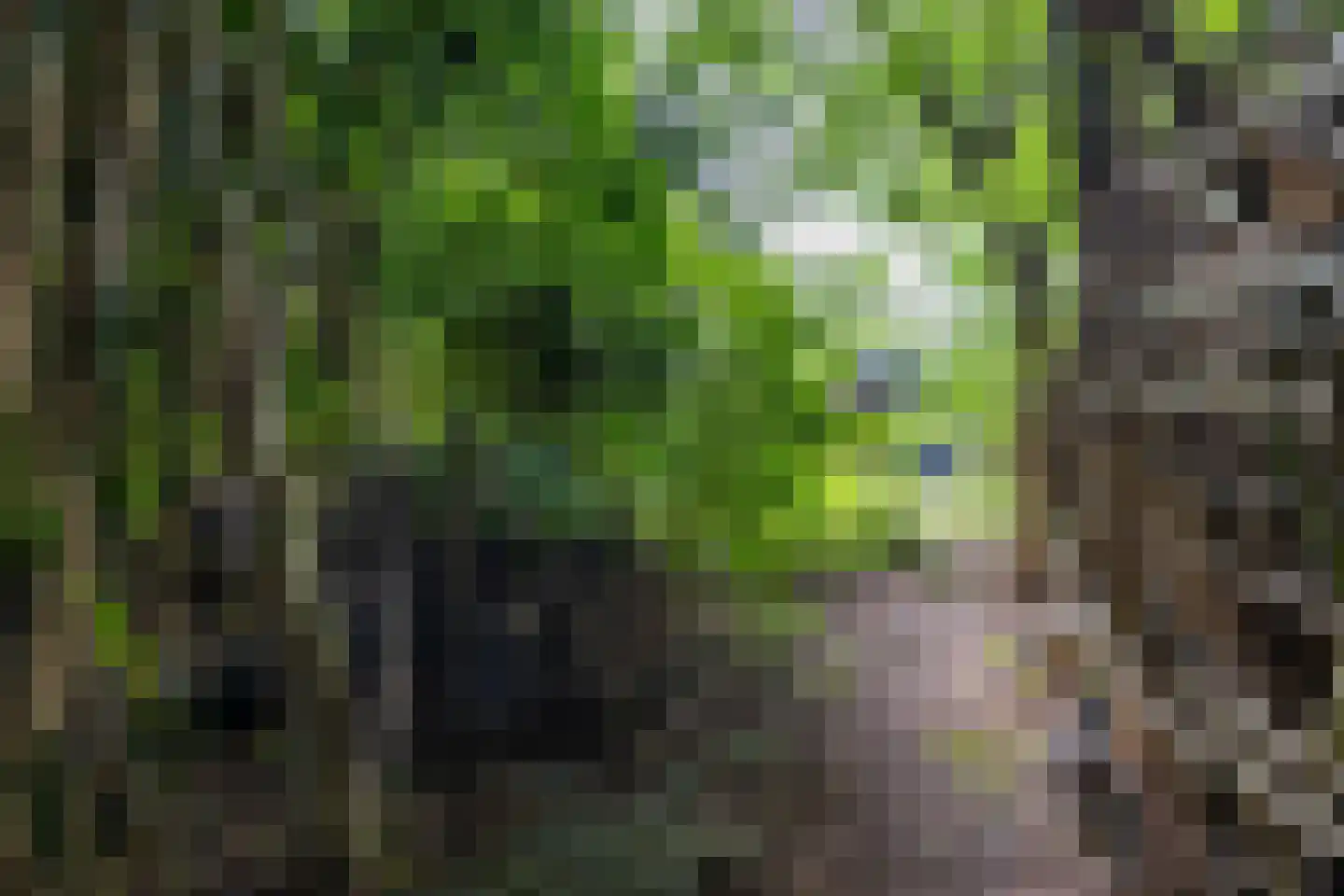 Holtkampen 5 Vries thumbnail 52