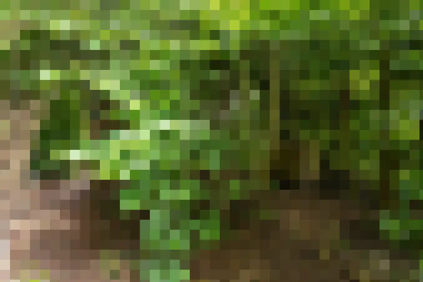 Holtkampen 5 Vries thumbnail 53