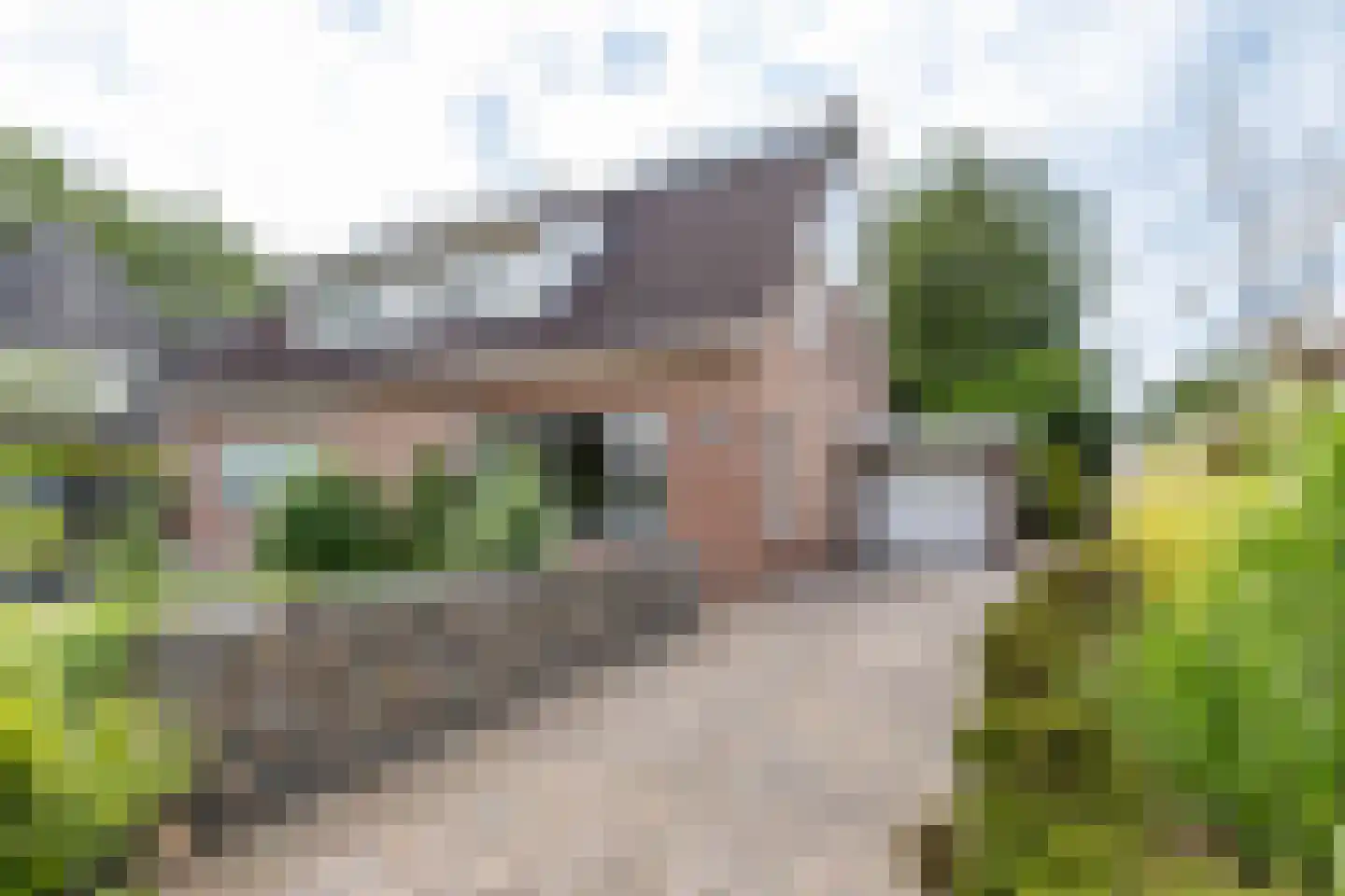 Holtkampen 5 Vries thumbnail 8