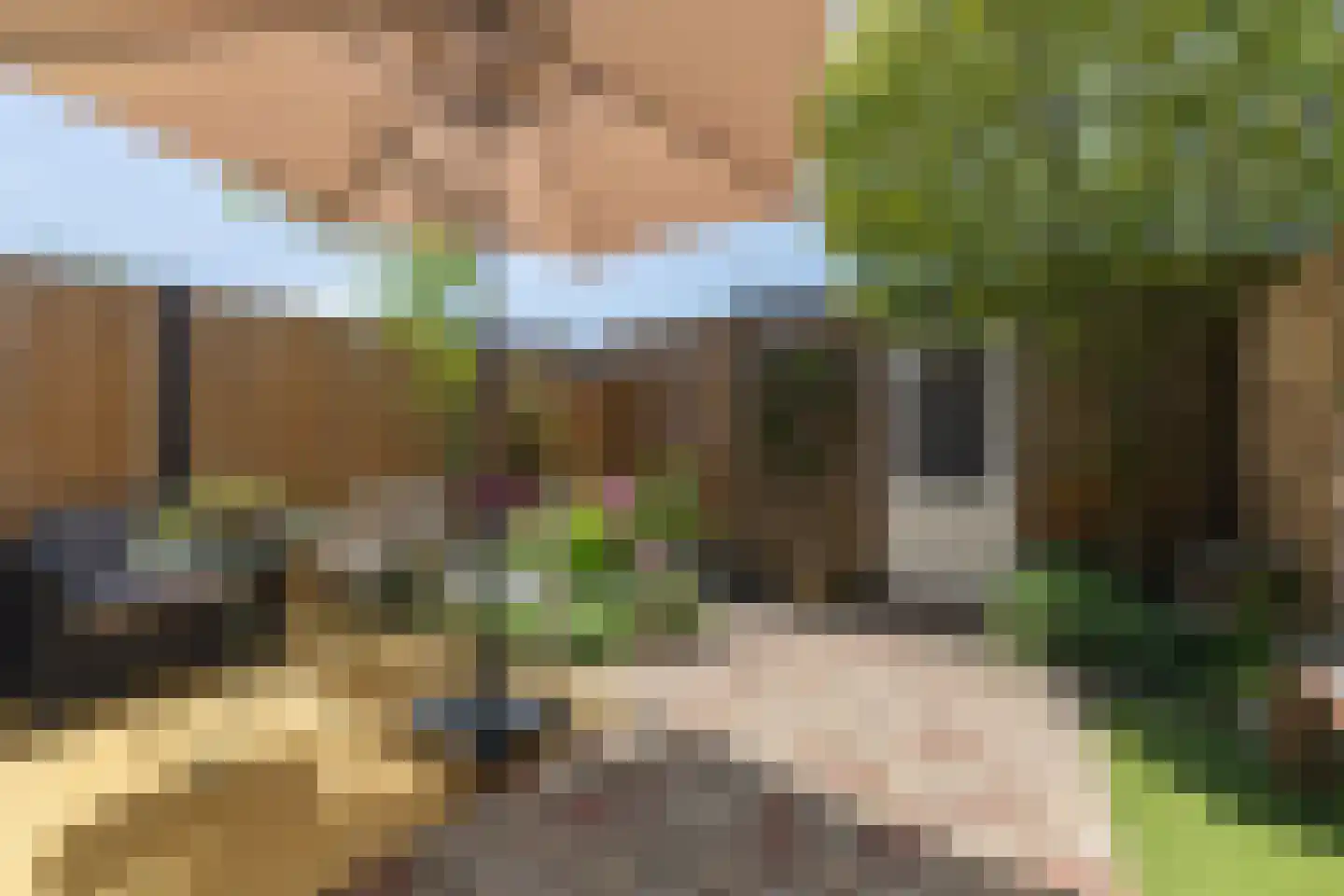 Holtkampstraat 12 Deventer thumbnail 30
