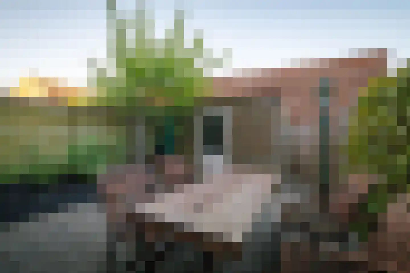 Holtkampstraat 18 Deventer thumbnail 12