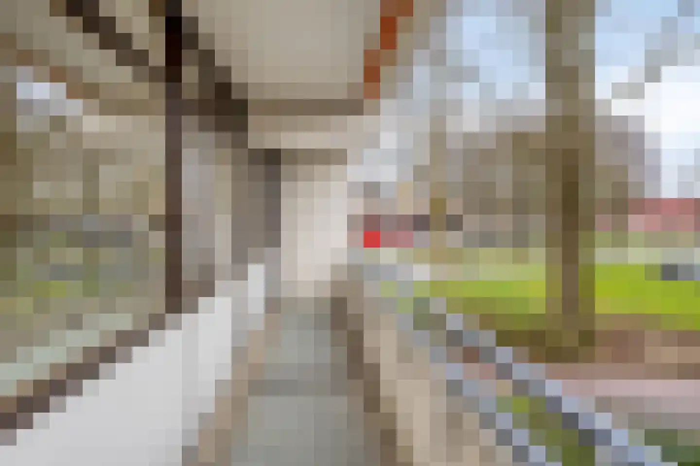 Holtlaan 1 Emmen thumbnail 25