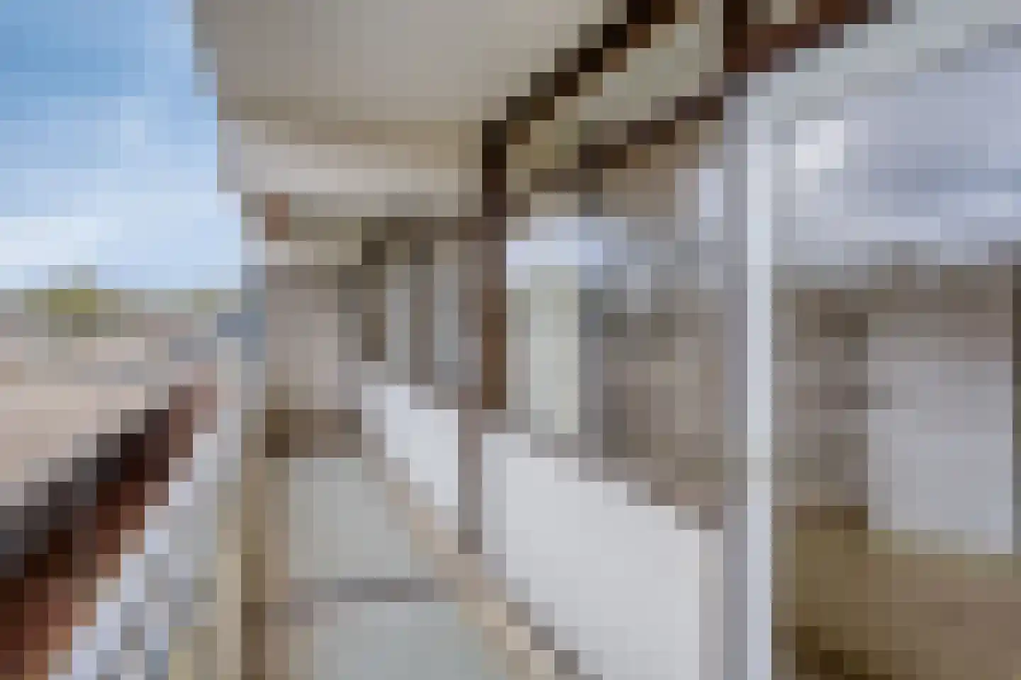 Holtlaan 1 Emmen thumbnail 27