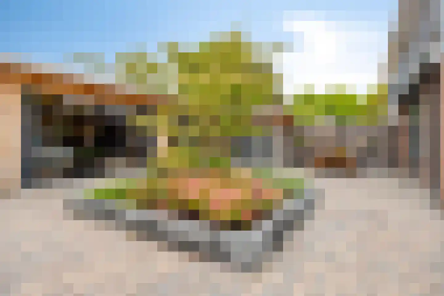 Holtlaan 10 Emmen thumbnail 27
