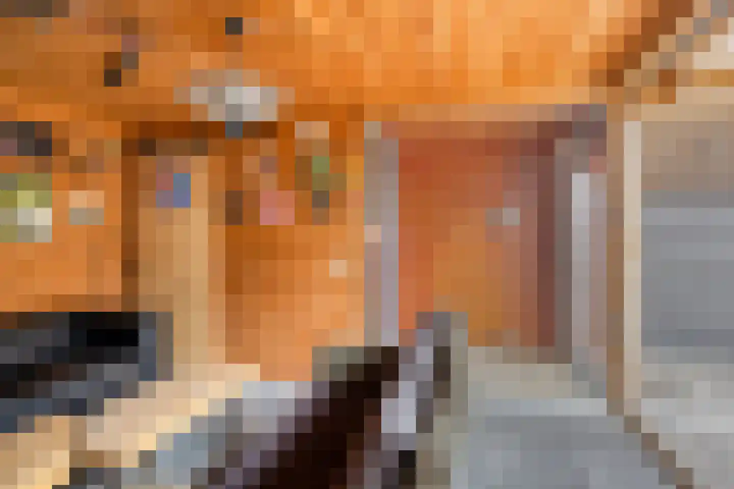 Holtlaan 10 Emmen thumbnail 30