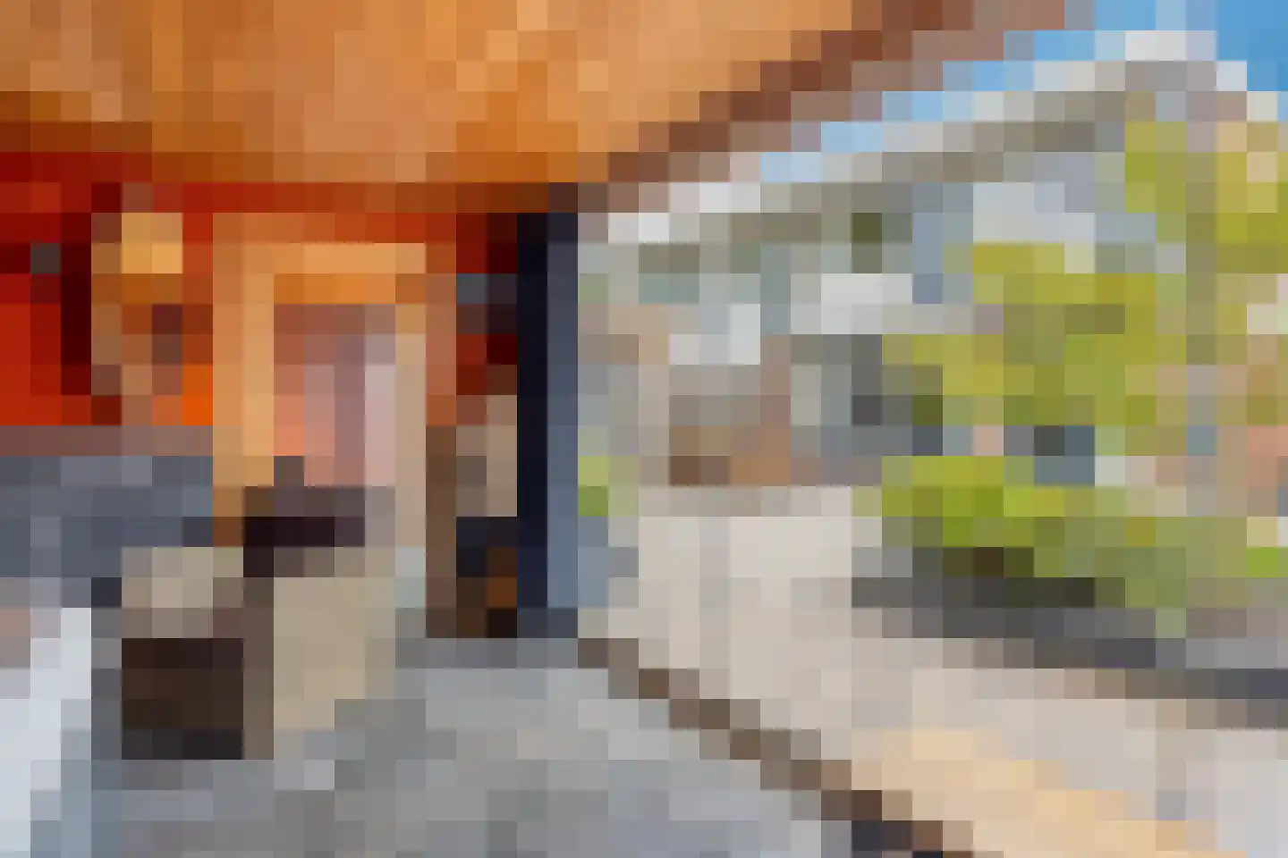Holtlaan 10 Emmen thumbnail 31