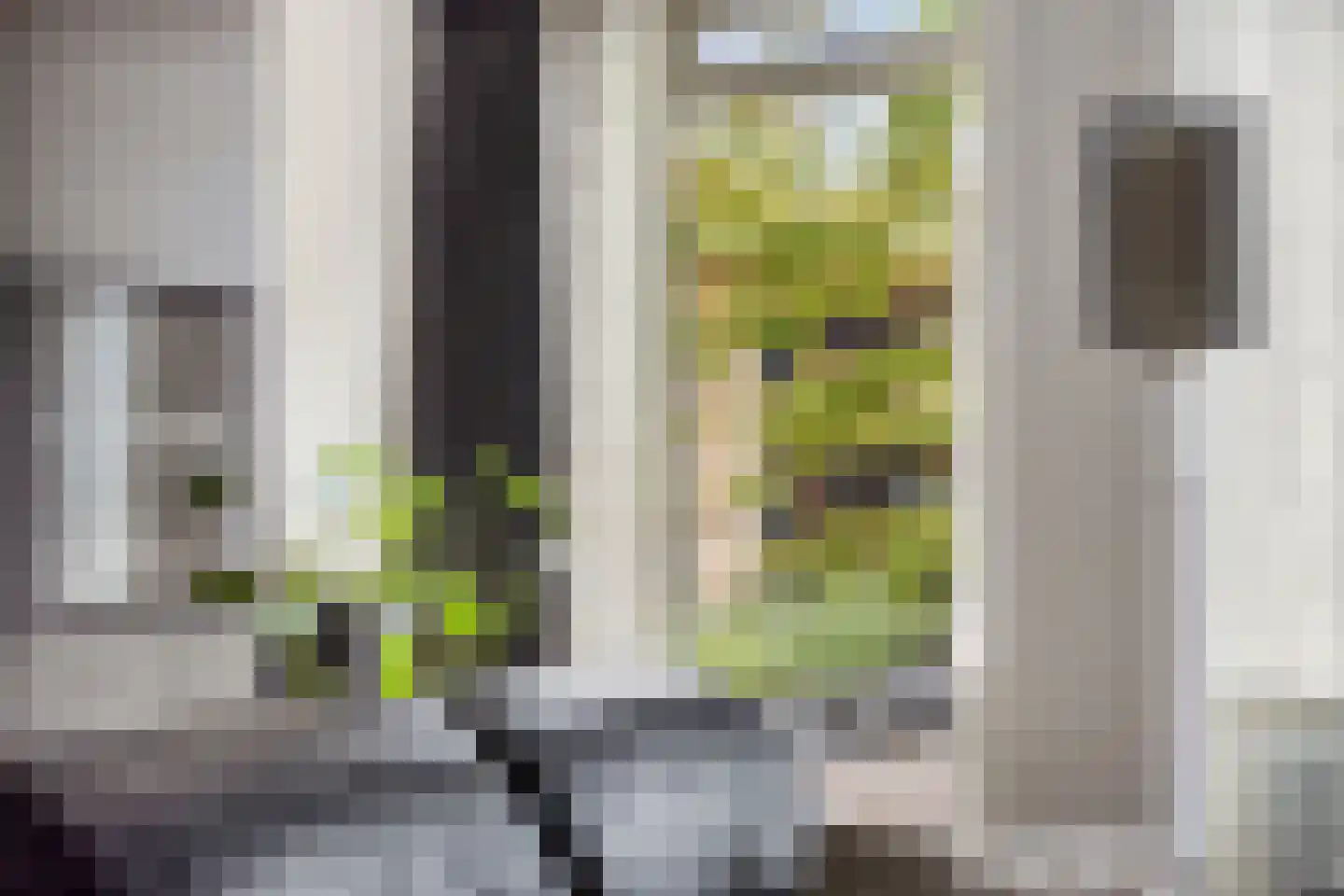 Holtlaan 10 Emmen thumbnail 7
