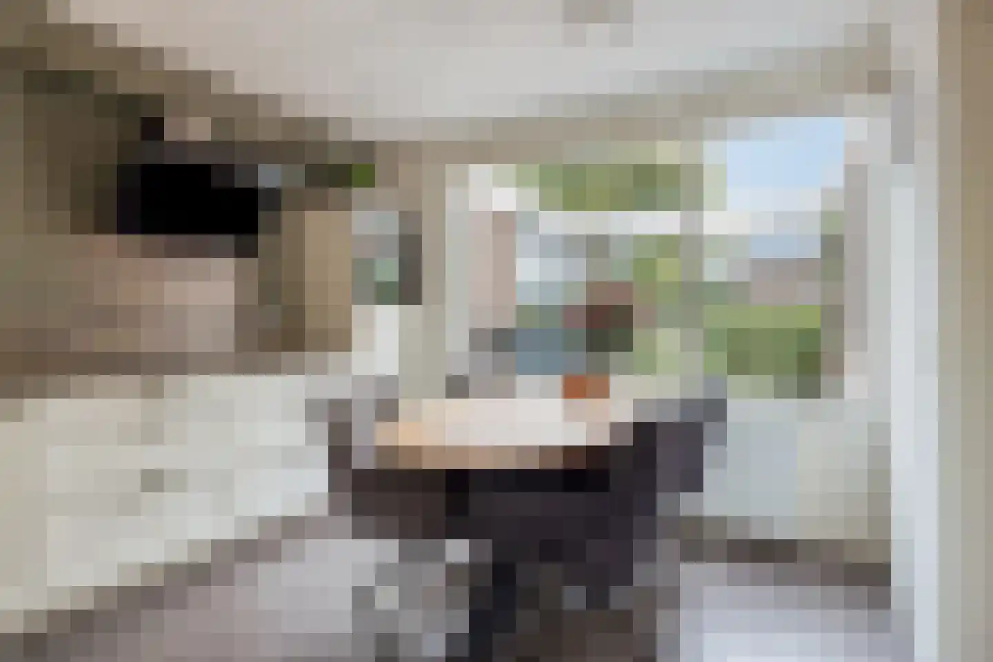 Holtlaan 10 Emmen thumbnail 9