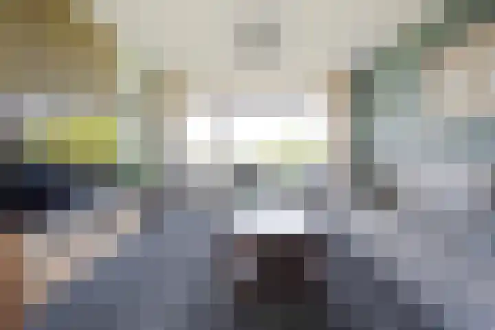 Holtlaan 111 Emmen thumbnail 12