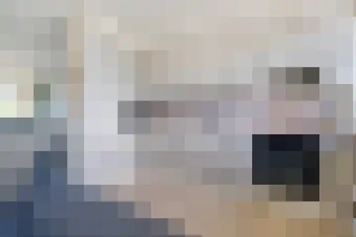 Holtlaan 111 Emmen thumbnail 14