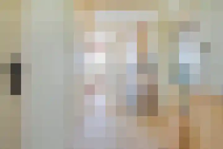 Holtlaan 111 Emmen thumbnail 16