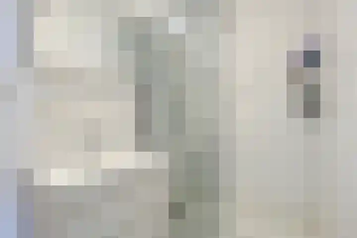 Holtlaan 111 Emmen thumbnail 20