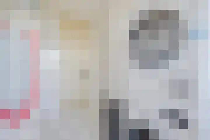 Holtlaan 111 Emmen thumbnail 23