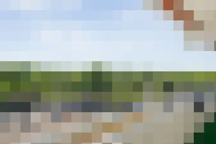 Holtlaan 111 Emmen thumbnail 25