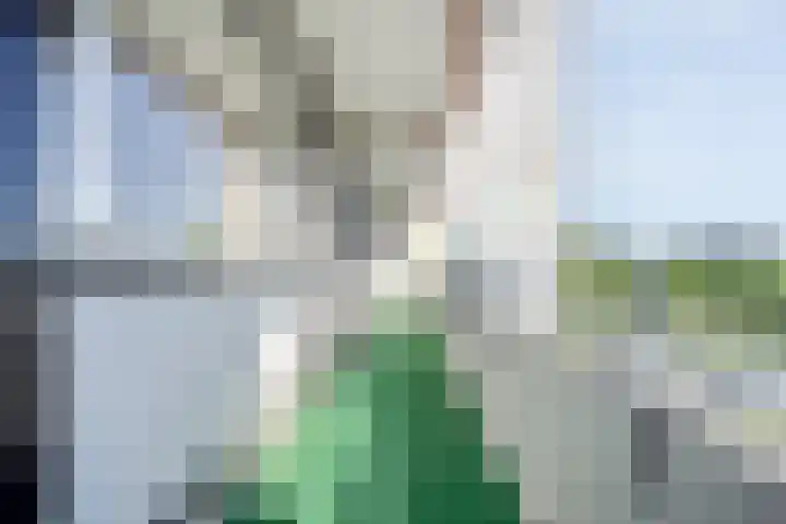 Holtlaan 111 Emmen thumbnail 26
