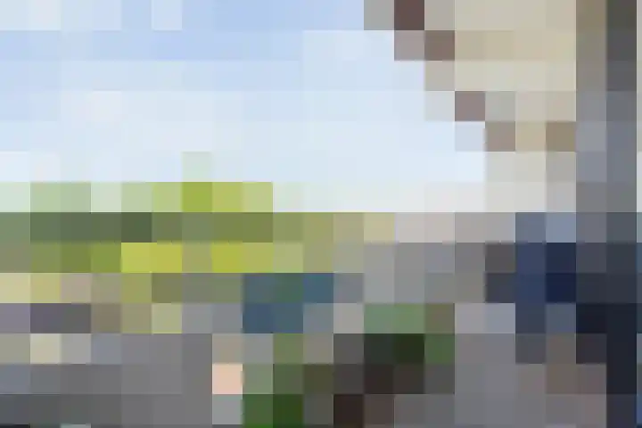 Holtlaan 111 Emmen thumbnail 27