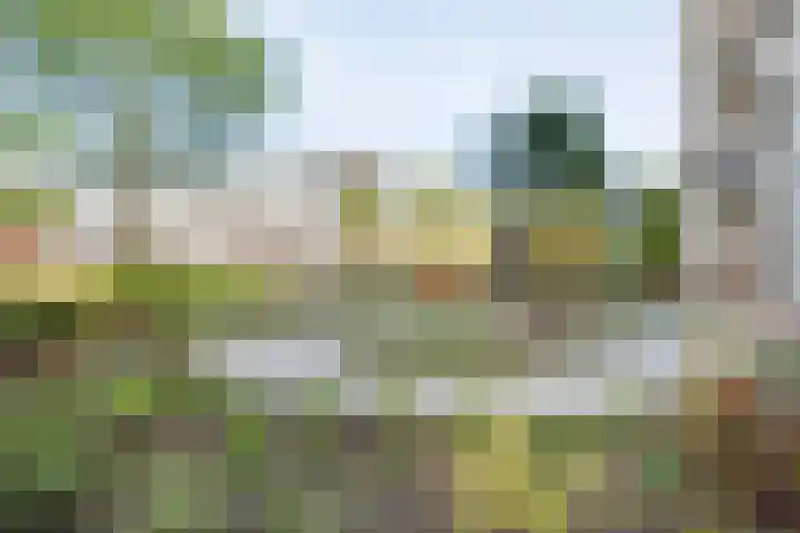 Holtlaan 111 Emmen thumbnail 28