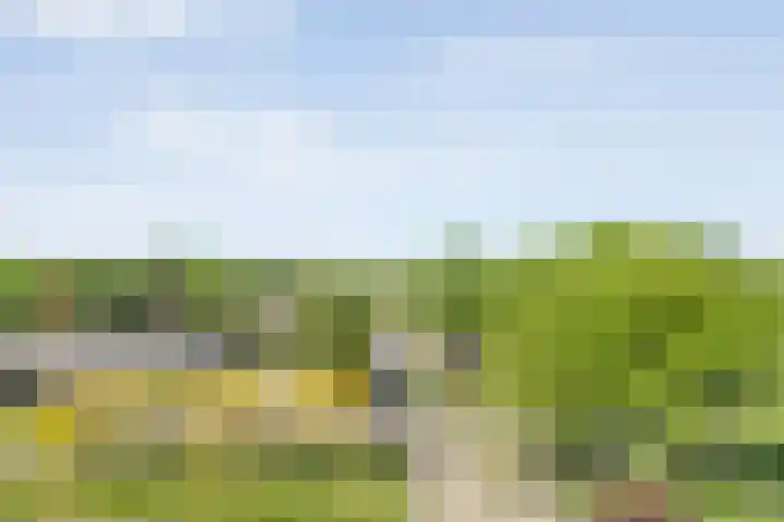 Holtlaan 111 Emmen thumbnail 31