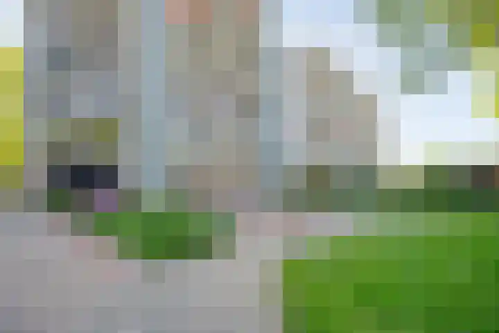 Holtlaan 111 Emmen thumbnail 37