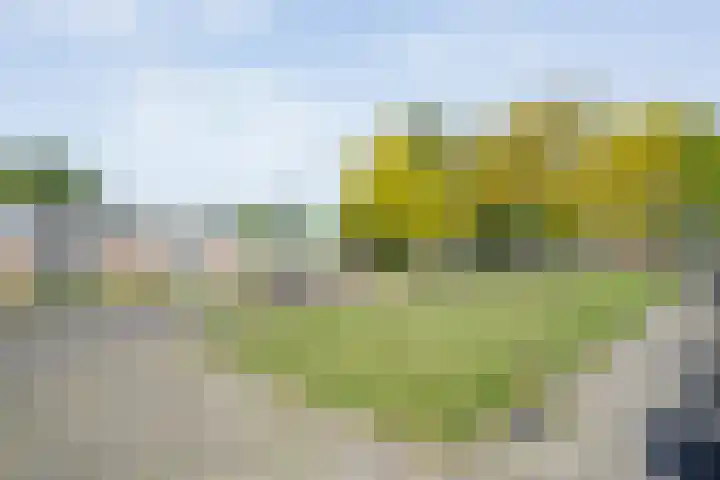 Holtlaan 111 Emmen thumbnail 38