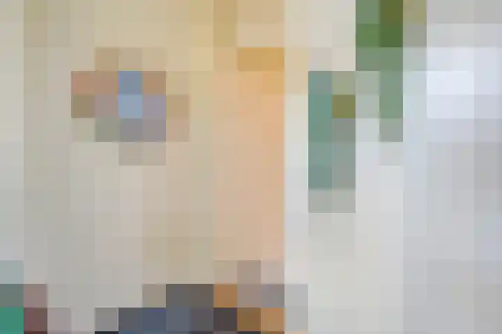 Holtlaan 111 Emmen thumbnail 7