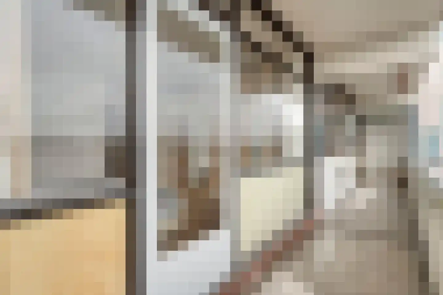 Holtlaan 113 Emmen thumbnail 28