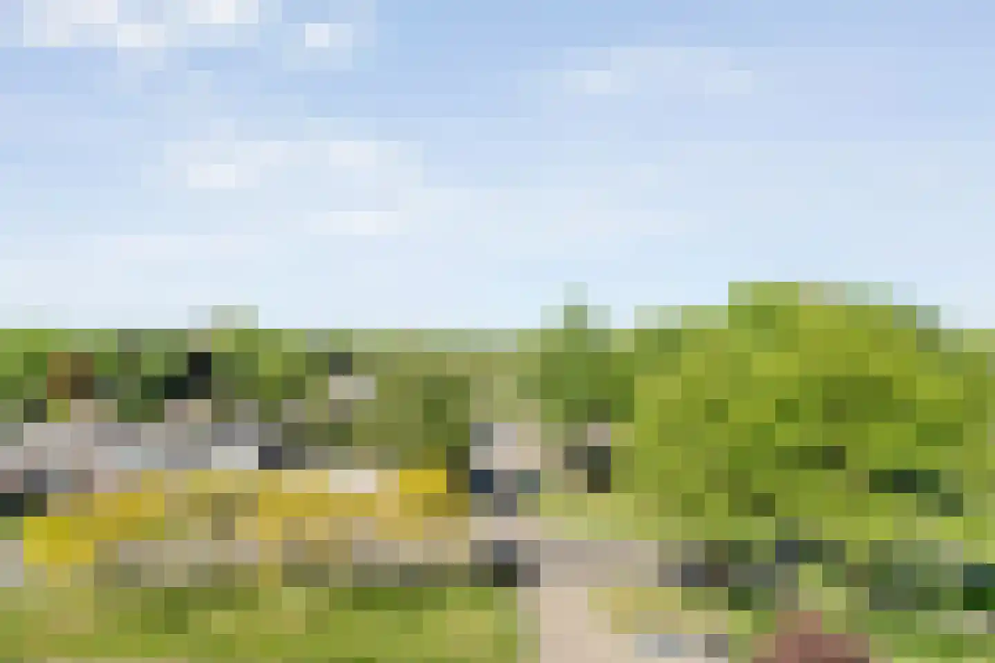 Holtlaan 113 Emmen thumbnail 36