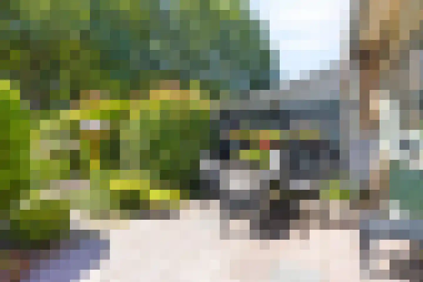 Holtlaan 225 Emmen thumbnail 18