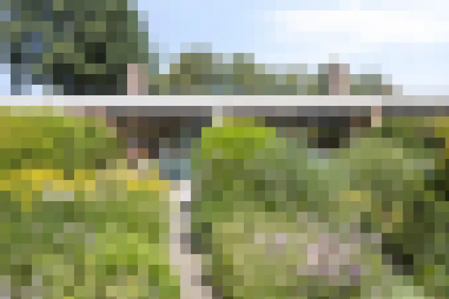 Holtlaan 225 Emmen thumbnail 20